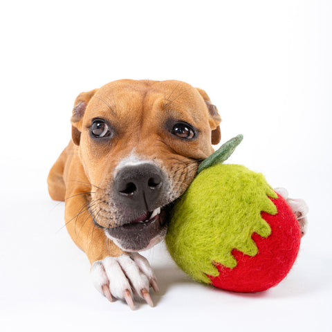 Poison Apple Felt Wool Toy