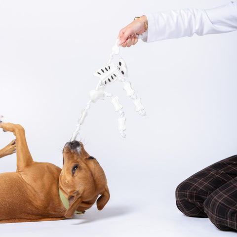 Skeleton Organic Canvas & Rope Tug Toy