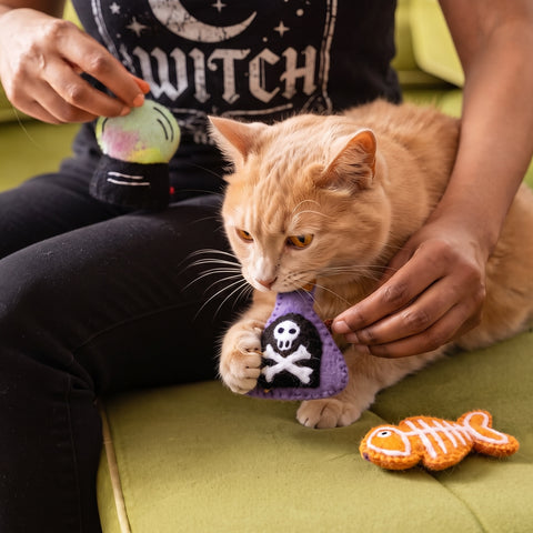 Witchy Trio Felt Wool Catnip Toy