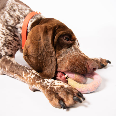 FURever Link Felt Wool Toy