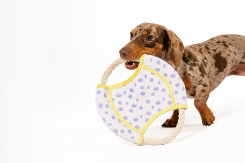 New Dizzy Disc Canvas Frisbee