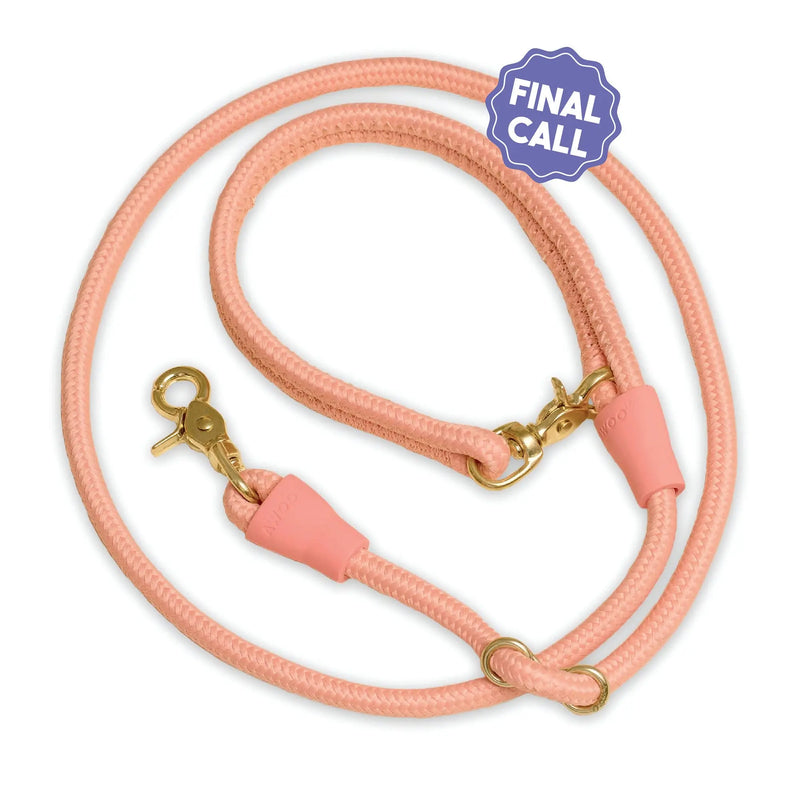 City Leash - Last Chance Awoo Pet Essentials