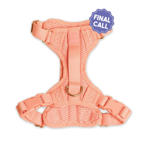 Huggie Harness - Last Chance