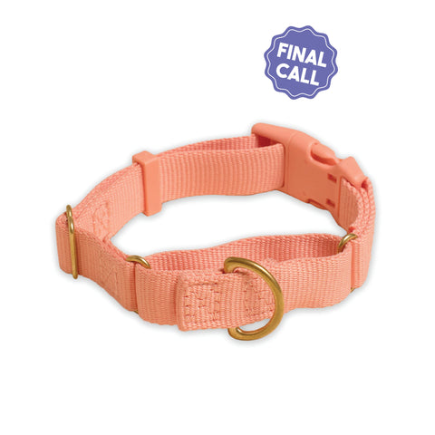 Marty Collar - Last Chance