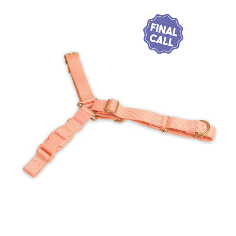 Roam Harness - Last Chance