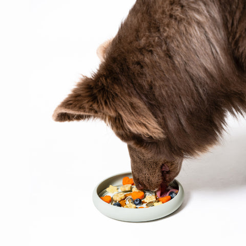 Lick Dish Slow Feeder
