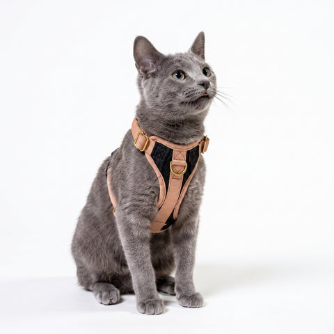 mew Huggie Harness For Cats