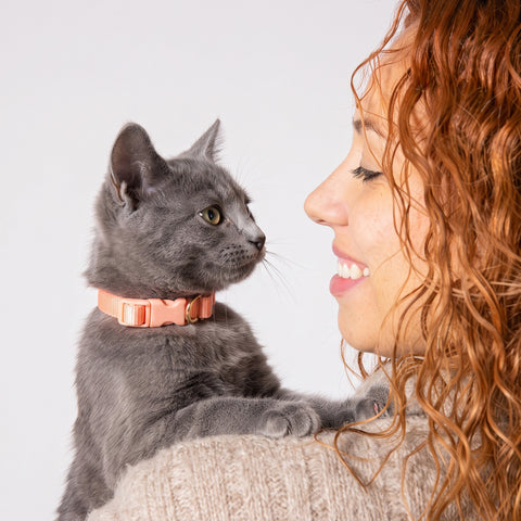 mew Pack Collar for Cats