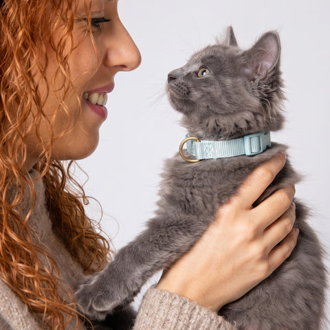 mew Pack Collar for Cats