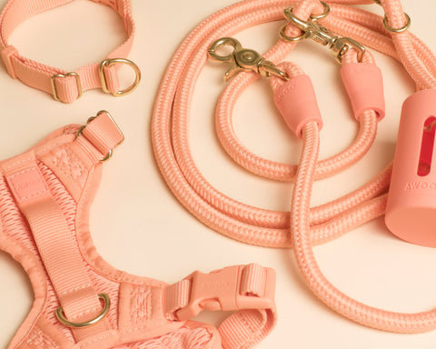Peach dog harness, leash, and collar set on a beige background