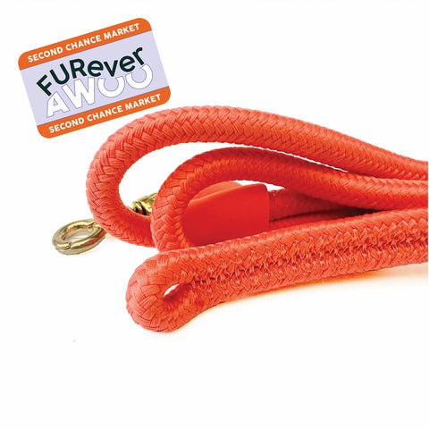 FURever City Leash in Spice