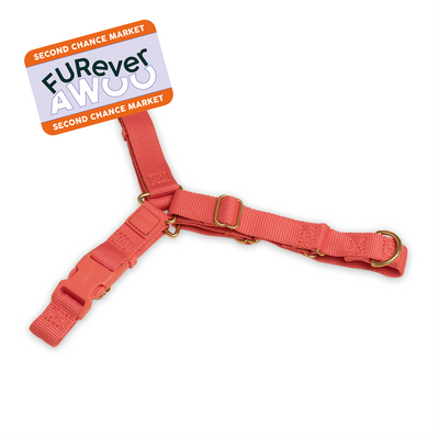 FURever Roam Harness in Spice / Small