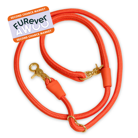 FURever City Leash in Spice