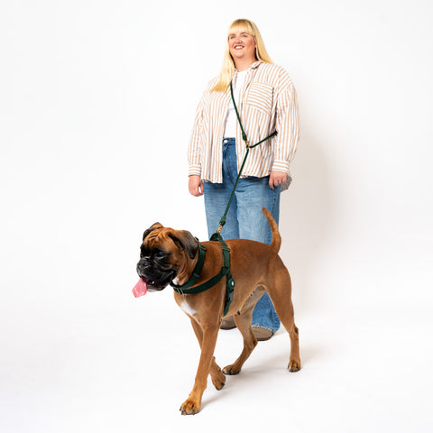 Ultimate Walk Set