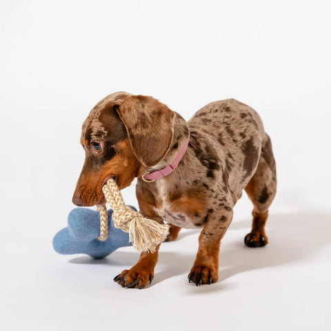 Comet's Tail Felt Wool Toy Awoo