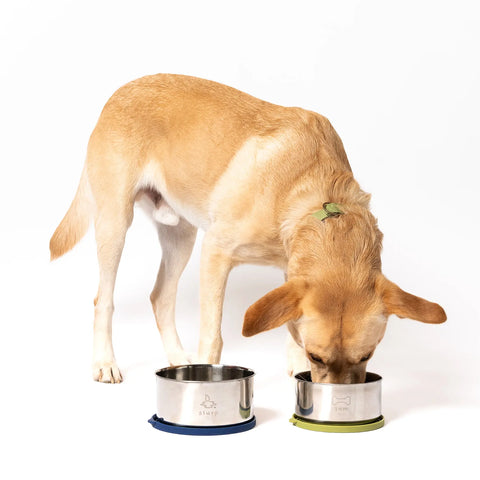 Dining Duo Stainless Steel Nesting Bowls Awoo