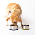 Dining Duo Stainless Steel Nesting Bowls Awoo