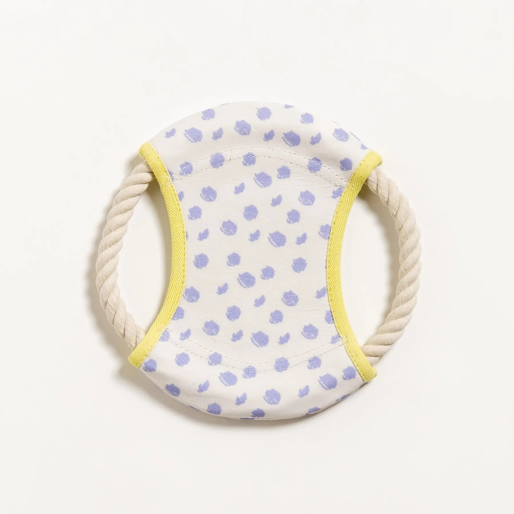 Dizzy Disc Canvas Frisbee
