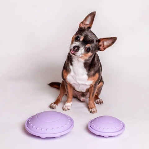 Flying Saucer Puzzle Toy Awoo
