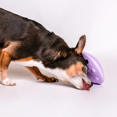 Flying Saucer Puzzle Toy Awoo