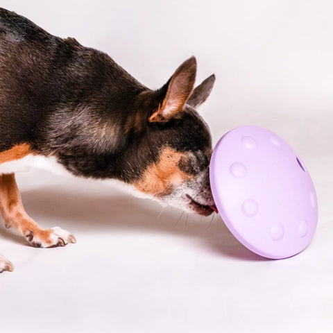 Flying Saucer Puzzle Toy Awoo