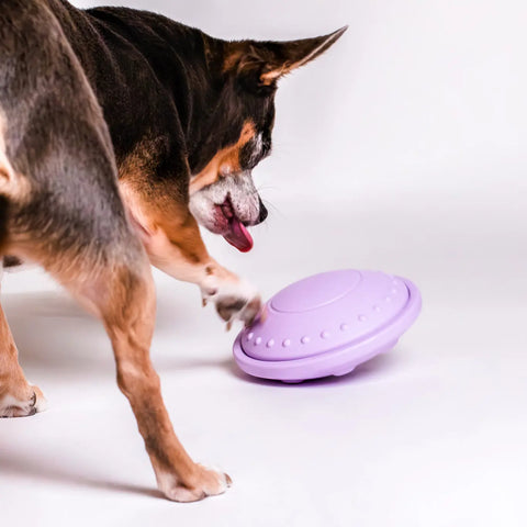 Flying Saucer Puzzle Toy Awoo