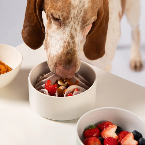 Good Vibes Slow Feeder Mat Awoo