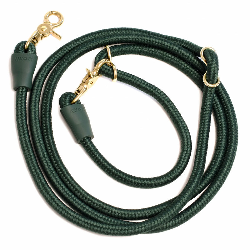 Awoo Infinity Leash in dark pine green with gold clasps