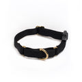 Awoo Marty martingale Collar in black with gold hardware and fast-release buckle in extra-small