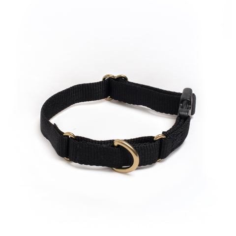 Awoo Marty martingale Collar in black with gold hardware and fast-release buckle in extra-small