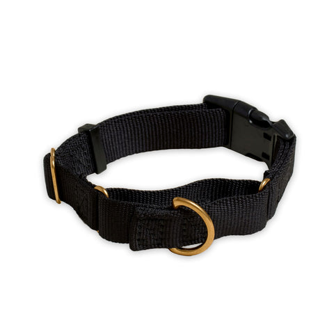 Awoo Marty martingale Collar in black with gold hardware and fast-release buckle