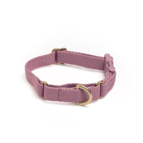 Awoo Marty martingale Collar in mauve with gold hardware and fast-release buckle in extra-small