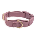 Awoo Marty martingale Collar in mauve with gold hardware and fast-release buckle