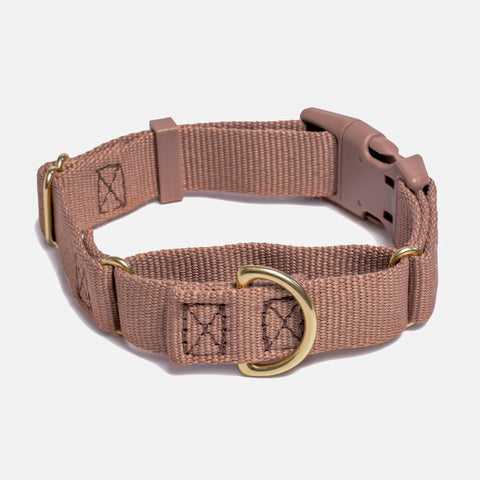 Awoo Marty martingale Collar in mocha brown with gold hardware and fast-release buckle  in extra-small
