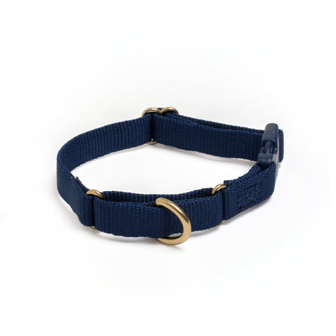 Awoo Marty martingale Collar in navy blue with gold hardware and fast-release buckle in extra-small