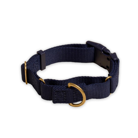 Awoo Marty martingale Collar in navy blue with gold hardware and fast-release buckle