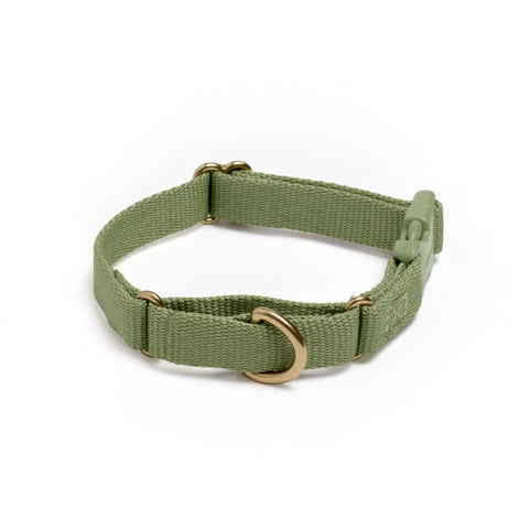 Awoo Marty martingale Collar in olive green with gold hardware and fast-release buckle  in extra-small
