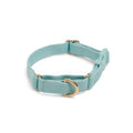 Awoo Marty martingale Collar in light blue slate with gold hardware and fast-release buckle in extra-small