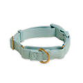 Awoo Marty martingale Collar in light blue slate with gold hardware and fast-release buckle