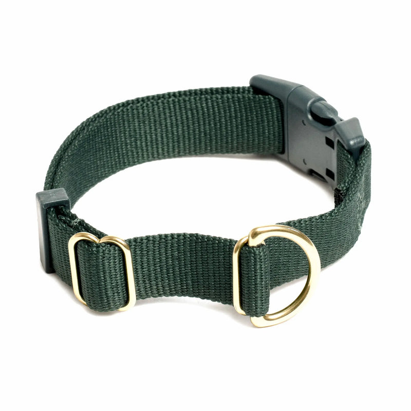 Awoo Pack Collar: in Pine, made from durable recycled polyester with a brass buckle.