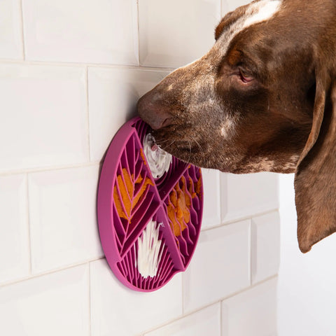 Paradise Lick Mat Awoo