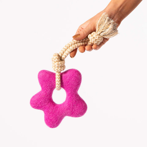 Pullin' Posies Felt Wool Toy Awoo
