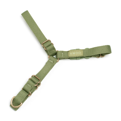 Roam Harness