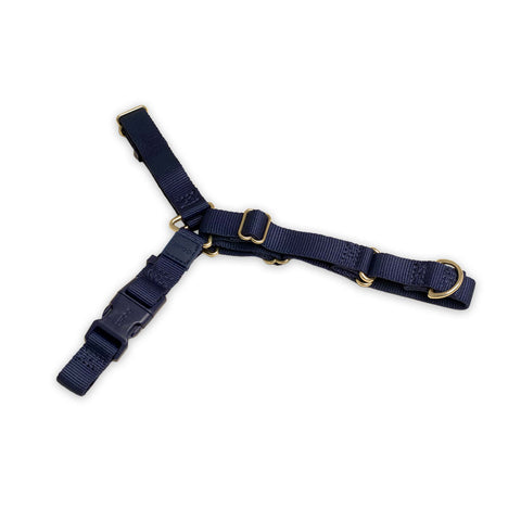 Roam Harness