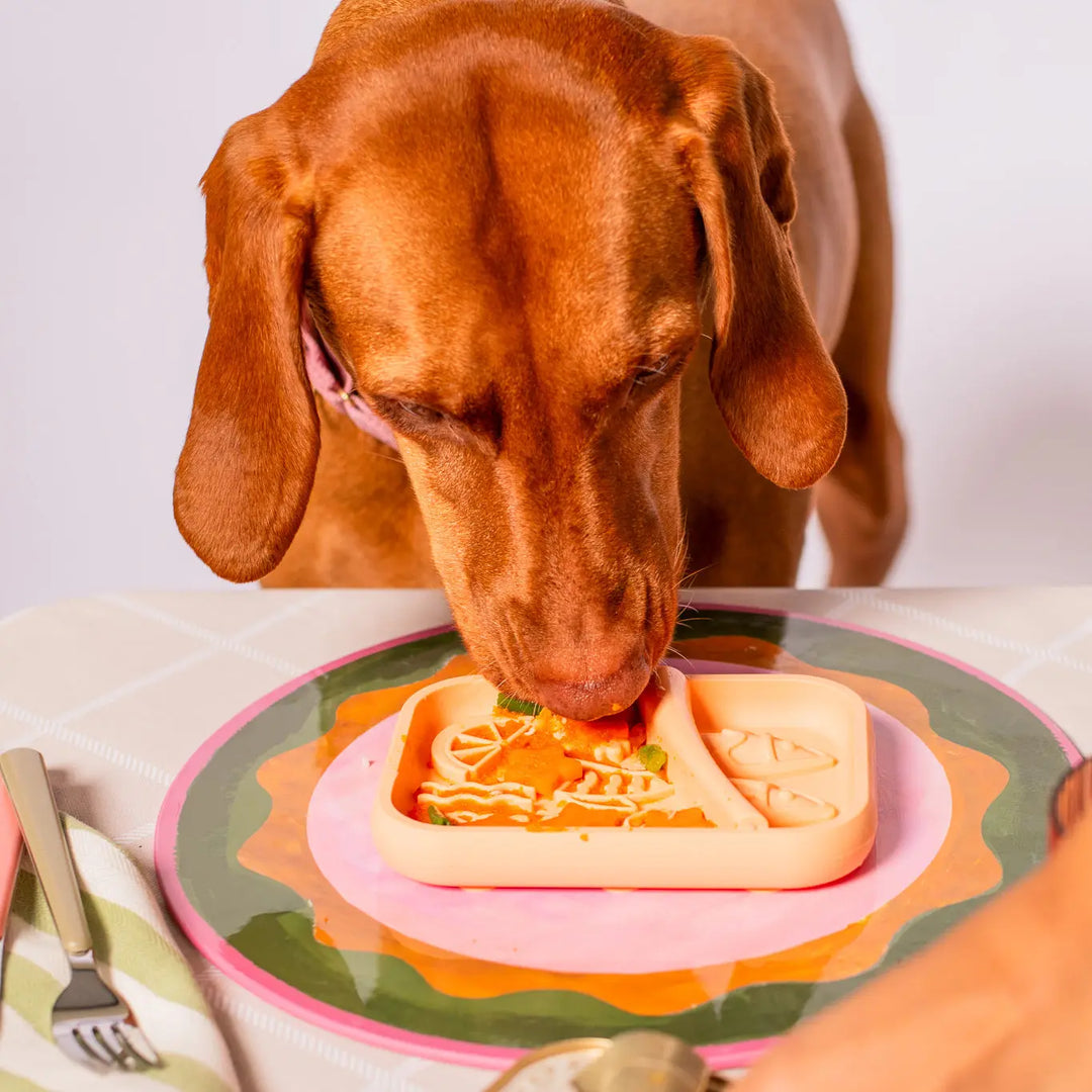 sardina-silicone-lick-mat-slow-feeder-for-small-dogs-puppies-cats