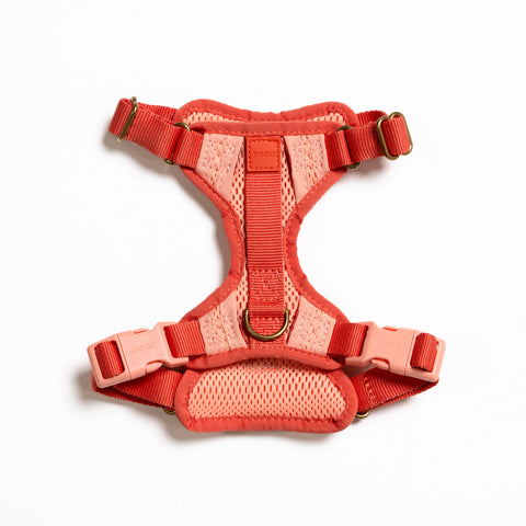 Huggie Harness