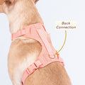 Awoo padded air mesh dog harness in size large worn by yellow labrador showing the back connection point on the back of the harness. Awoo Huggie Harness, in peach pink, is a cute dog harness suitable of all breeds and sizes.
