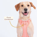 Awoo padded air mesh dog harness in size large worn by yellow labrador showing the front connection point on the back of the harness. Awoo Huggie Harness, in peach pink, is a stylish dog harness great for training dog of all breeds and sizes.