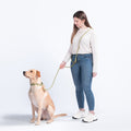 Awoo Infinity Hands-free Dog Leash in olive green demonstration of the cross-body hands free function attached to the Awoo Marty martingale collar in olive green. Best selling hands free leash; worn by yellow labrador in size large and a woman with an average build.