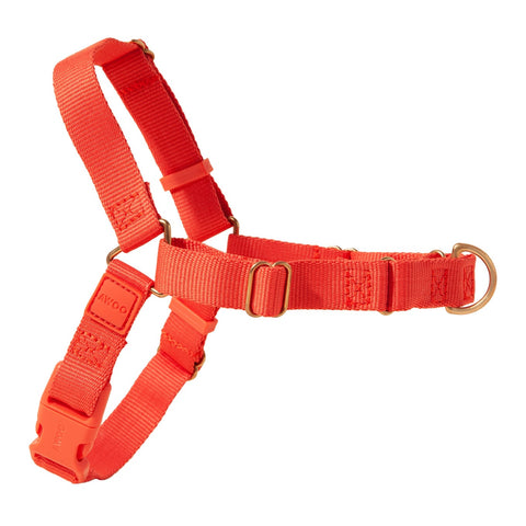 Awoo roam three strap slip on dog harness floating image to show fully adjustable straps, martingale loop and fast release easy on/off buckle, in spice red color.
